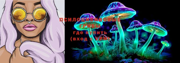 PSILOCYBIN Новозыбков