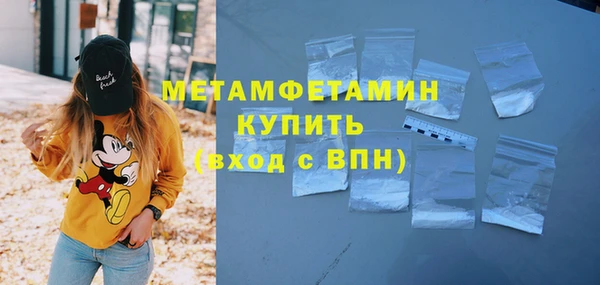 прущие грибы Новодвинск