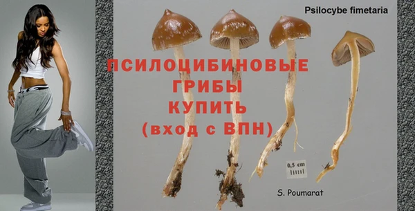 кокаин премиум Верея