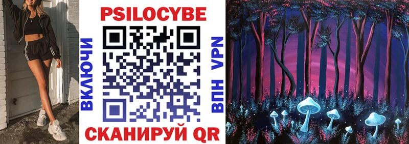 наркотики  Зима  Псилоцибиновые грибы Psilocybine cubensis 