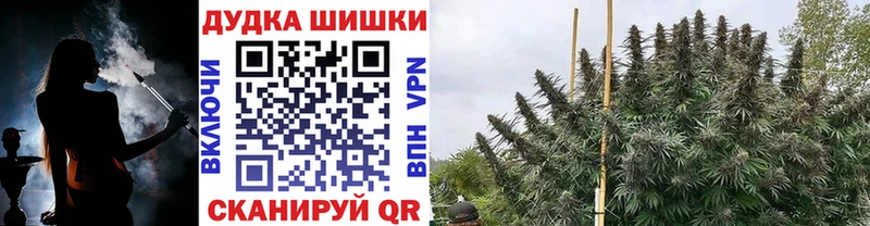 Бошки Шишки OG Kush  где купить   Зима 